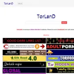 TorlanD
